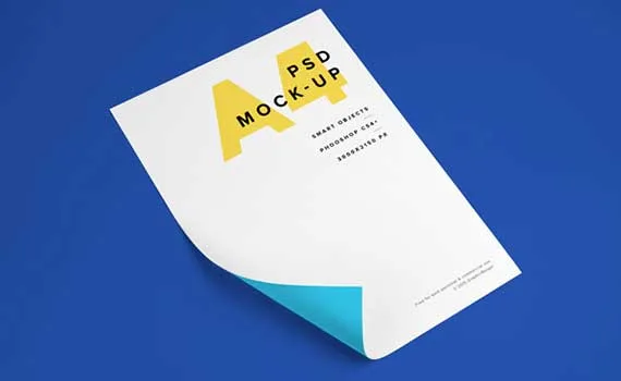 Our latest work - 旺财28